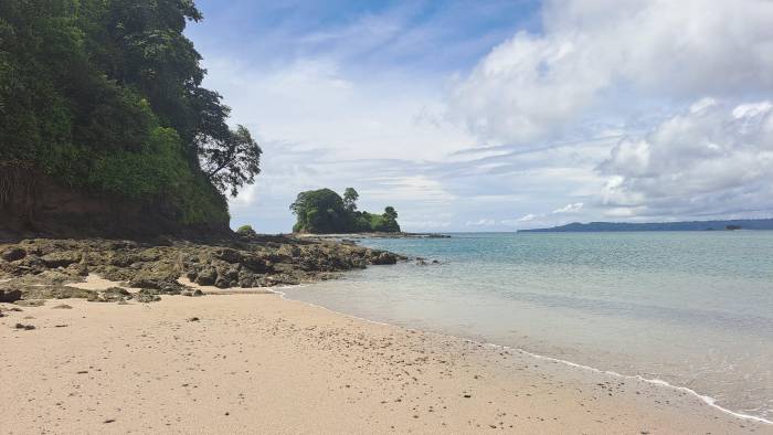 Coiba AIP trabaja en dos proyectos de investigación sobre estuarios.