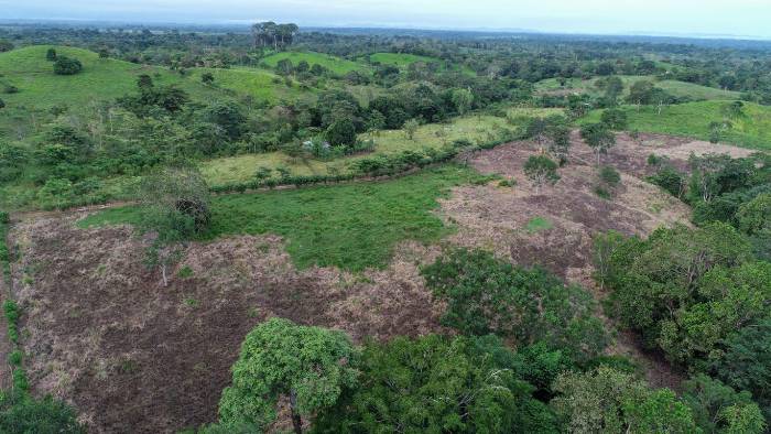 Panamá registra “preocupante” aumento de la deforestación y degradación, según estudio