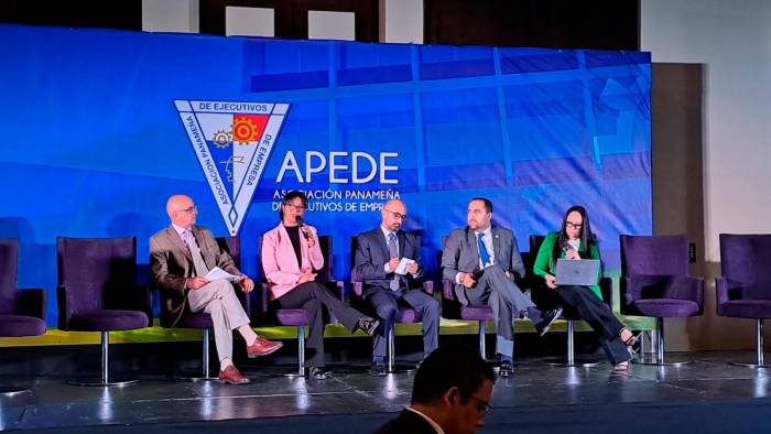 Rosilena Lindo, secretaria nacional de Energía (rosado) en el XII Foro de Energía 2024, realizado este miércoles.