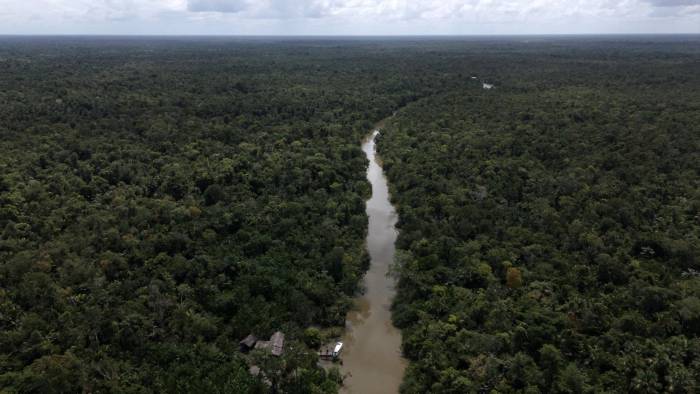 La deforestación en la Amazonía alcanza su nivel más bajo.