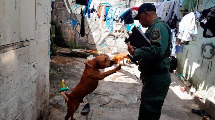 Un perro es rescatado por la Policía Nacional.