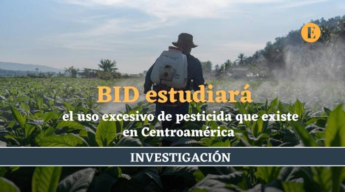 Centroamérica es la región que más utiliza pesticidas por hectáreas en el mundo