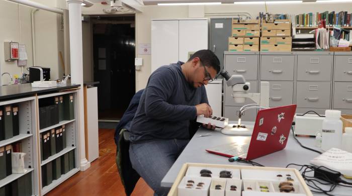 Manuel Barría lleva ocho años estudiando los escarabajos de la superfamilia ‘Scarabaeoidea’.