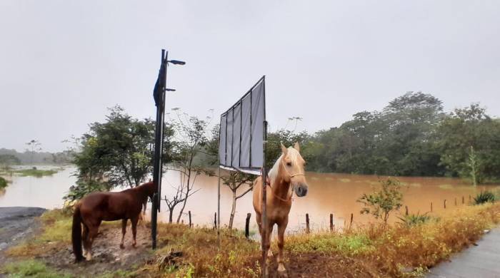 Lluvias intensas provocan crecidas y evacuaciones en varias provincias de Panamá