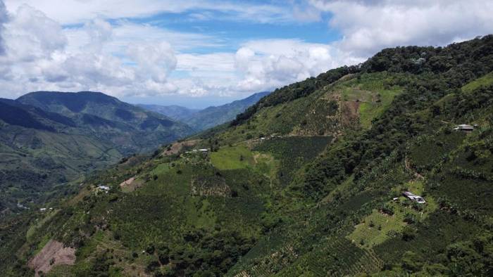 La bioeconomía te permite transformar los territoriosrurales en una fuente de ingresos, empleos y desarrollo.