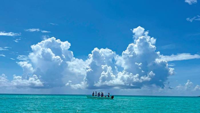 Sian Ka’an es un sitio Ramsar con 528.147 hectáreas y tres ecosistemas dominantes: selvas, humedales y acuáticos.