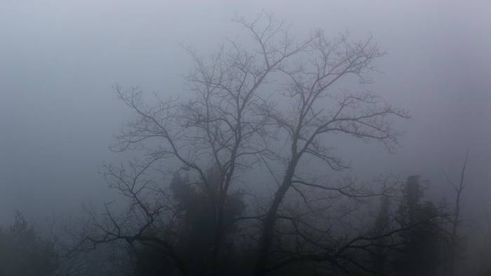 Los barrios altos de Donostia han amanecido este martes bajo una densa niebla.