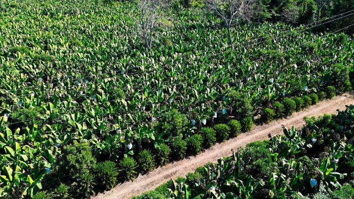 Las soluciones tecnológicas serán utilizadas por al menos 340 organizaciones rurales de cinco países de América Latina.