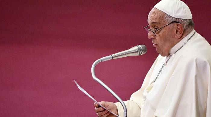 El papa Francisco en una audiencia del pasado mes de junio.
