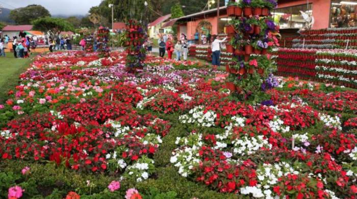 Feria de las Flores y del Café en Boquete