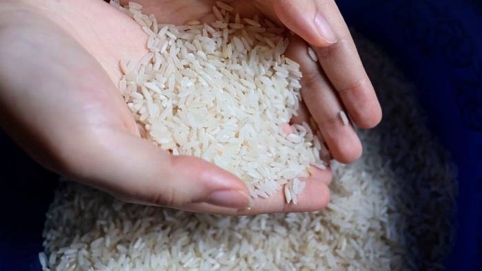 La importación de arroz se hará para garantizar el alimento a los panameños.