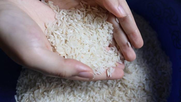 El arroz es uno de los principales alimentos de la mesa de los panameños.