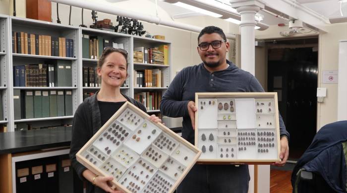 La colección del museo de Harvard cuenta con unos 200 especímenes de escarabajos colectados en Panamá.