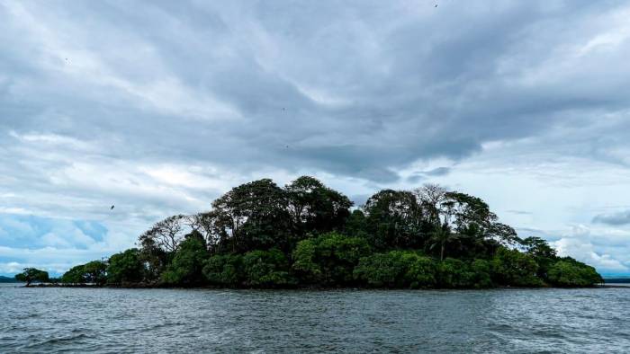 La isla Perdomo en el Golfo de Montijo es un área de descanso para las aves.