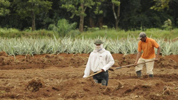 Productores piden que se vea la política agroalimentaria de manera integral.