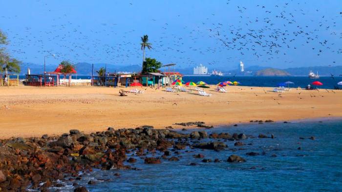 A Taboga también se le conoce con el calificativo popular de ‘Isla de las Flores’, por su exuberante vegetación tropical, florecida casi todo el año.