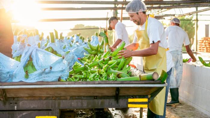 El valor de las exportaciones panameñas, sin cobre, crece más de 9% hasta febrero