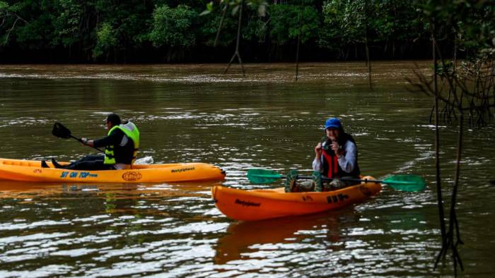 El kayak es una de las actividades turística que se ofrece dentro del Golfo de Montijo.