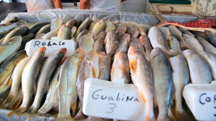 Róbalo, guabina y corvina son solo algunas de los productos del mar que se ofrecen.