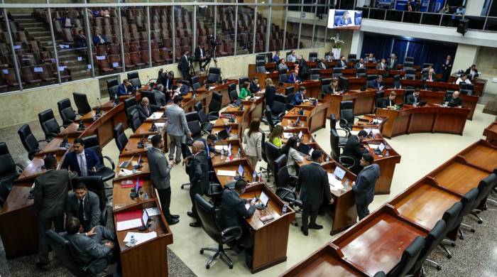 La Asamblea Nacional deberá debatir la reconfiguración de los circuitos electorales.