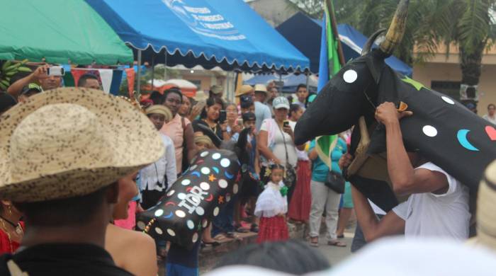 Cada artesano trata de que su toro se vea vistoso y sea el más admirado en su danza.