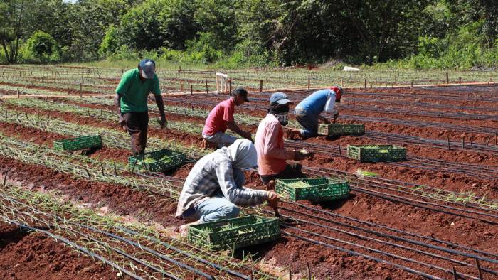 El BDA ha recaudado hasta la fecha en su cartera corriente un total de 35 millones de dólares.