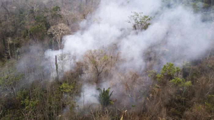 Fotografía aérea que muestra un área con incendios en el Parque Estatal Guajará Mirim el 11 de septiembre de 2024, en la ciudad de Nova Mamoré (Brasil). EFE/ Isaac Fontana