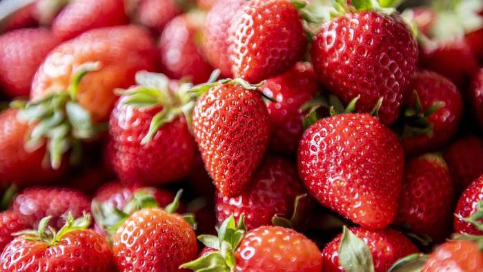 Las fresas se encuentran entre los rubros importados de Costa Rica que Panamá decidió no otorgar permisos para entrar al mercado.