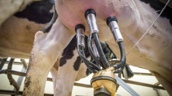 El congreso Congreso Panamericano de la Leche reúne al sector lechero de las Américas con miras a discutir los desafío y oportunidades de la industria.