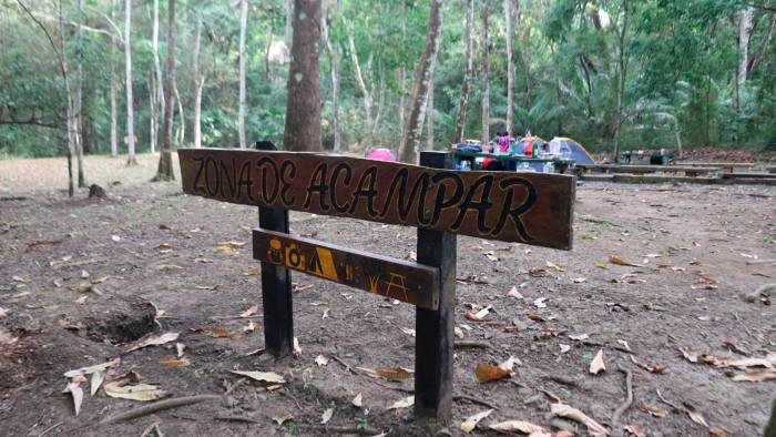 En el parque hay un área habilitada para acampar.