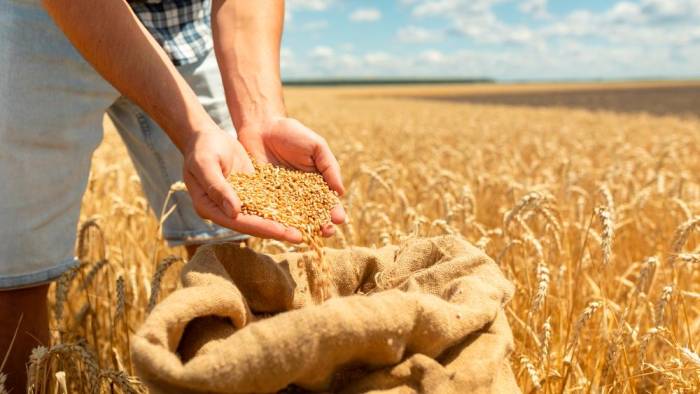 El incremento en la producción de cereales favorece la disminución de los precios.