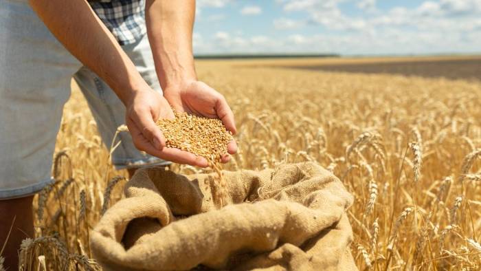 La mejora en la producción de cereales ayudó a que los precios mundiales bajaran.