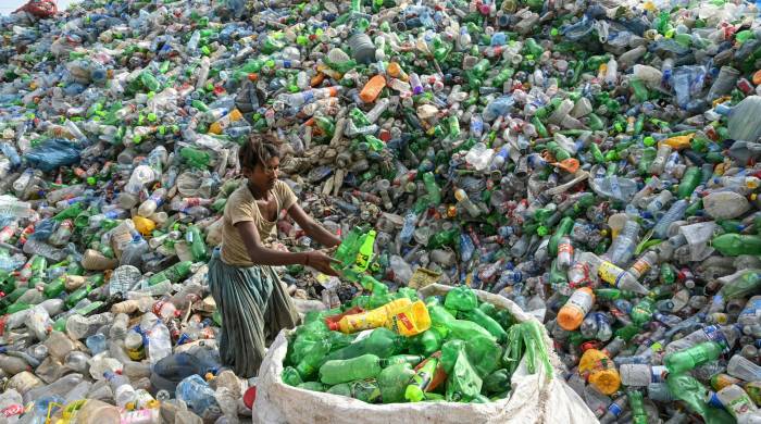 Solamente el 9 % del plástico se recicla y entre 19 millones y 23 millones de toneladas terminan en lagos, ríos y océanos, señala la OCDE.