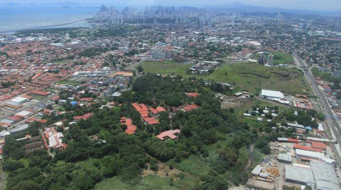 El área de Matías Hernández es una de las áreas verdes conservadas con mayor arbolado en la periferia urbana de la ciudad de Panamá al fondo.