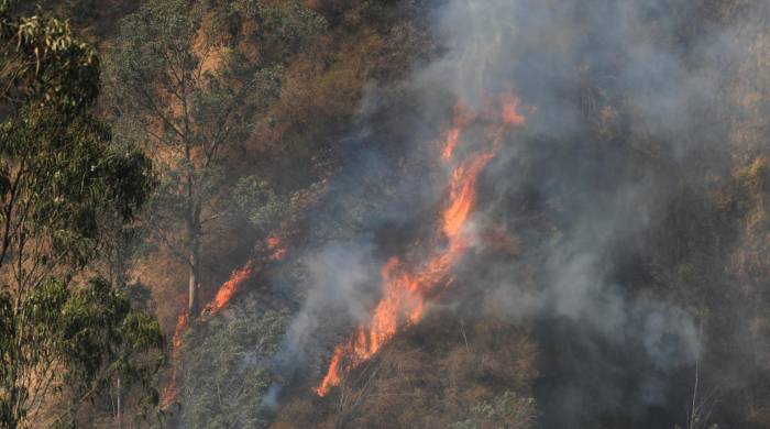 Fotografía de un incendio forestal este miércoles, en Quito (Ecuador).