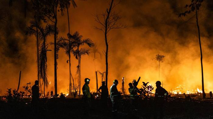 Fotografía de archivo de un incendio en el municipio de Careiro, Amazonas.