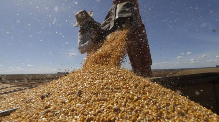 La sequía extrema en Brasil pone en peligro las cosechas y encarece los alimentos.