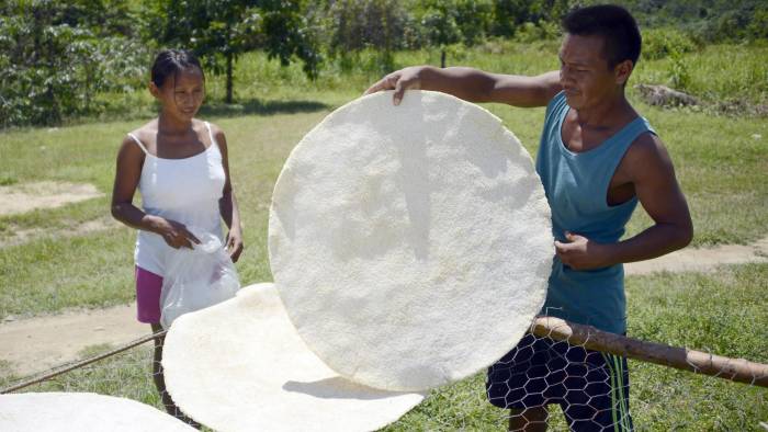 El casabe es una especie de pan plano, circular y de tamaño variado, pero siempre mayor que el de una tortilla tradicional.