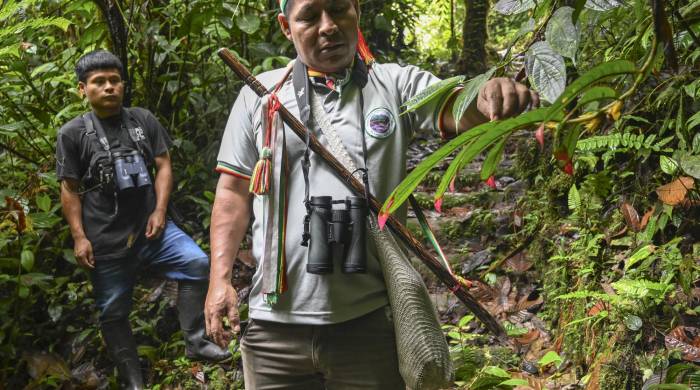 Los awá se caracterizan por su fuerte “conexión” y “vínculo espiritual” con su tierra y la protegen.