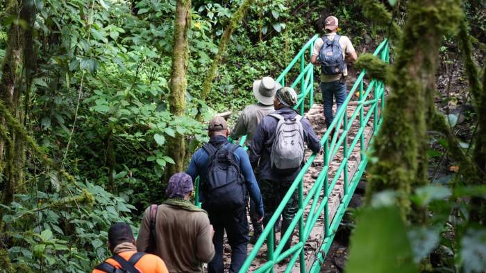 El sendero Los Quetzales invita a hacer caminatas entre bosques nubosos.