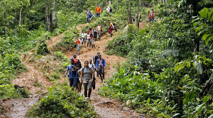 Migrantes suben una montaña con la intención de llegar a Panamá, en el Tapón del Darién (Colombia).