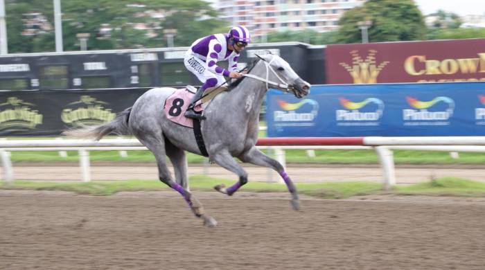 ‘Silver Wood’ se acerca a la meta para ganar con relativa facilidad el Clásico Familia Grimaldo.