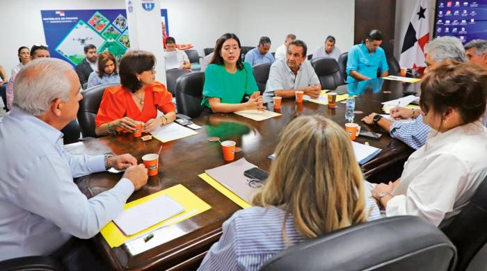 Reunión entre la Analmo, el IMA y el MIDA en la Cadena Agroalimentaria de Arroz.