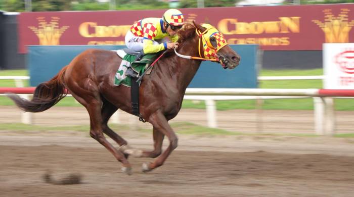 El próximo jueves 11 de julio se cerrarán las inscripciones para el torneo.