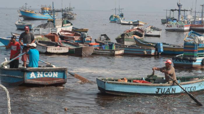 La pesca peruana marcó su tercer mes consecutivo con alzas.