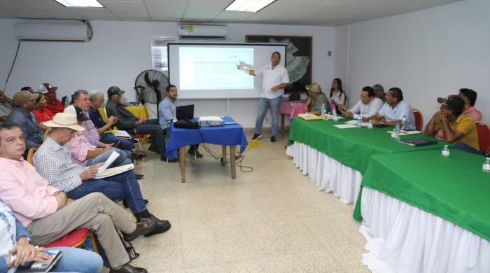 Vista de la reunión de la Cadena Agroalimentaria del Arroz.