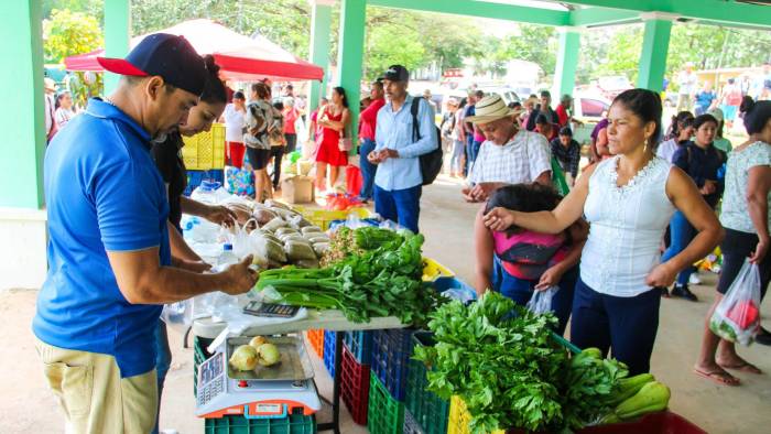 Panameños acuden a Agroferia del IMA en el sector de Panamá Este.