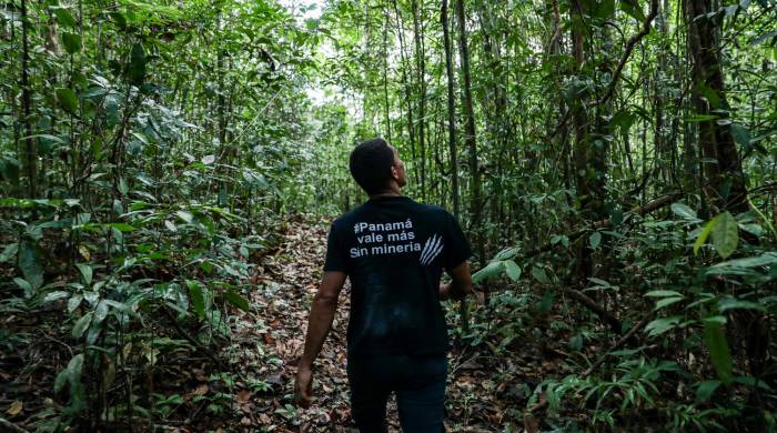 Según Asociación ADOPTA Bosque Panamá, este proyecto afectaría su reserva.