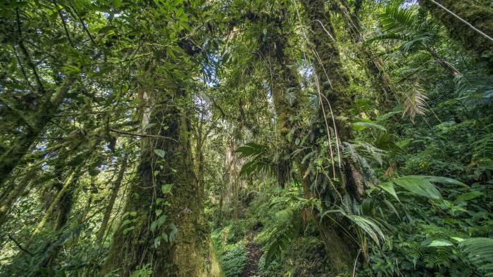 El programa busca mostrar la naturaleza desde la esperanza.