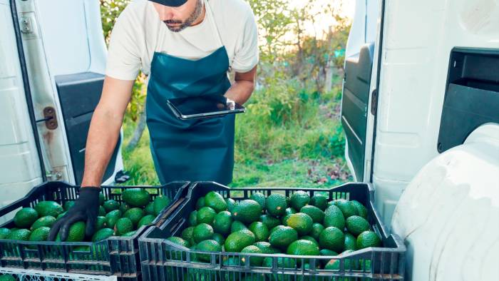 El sector de servicios es todo aquello relacionado con el comercio, transporte, turismo, sanidad, cultura, etc.